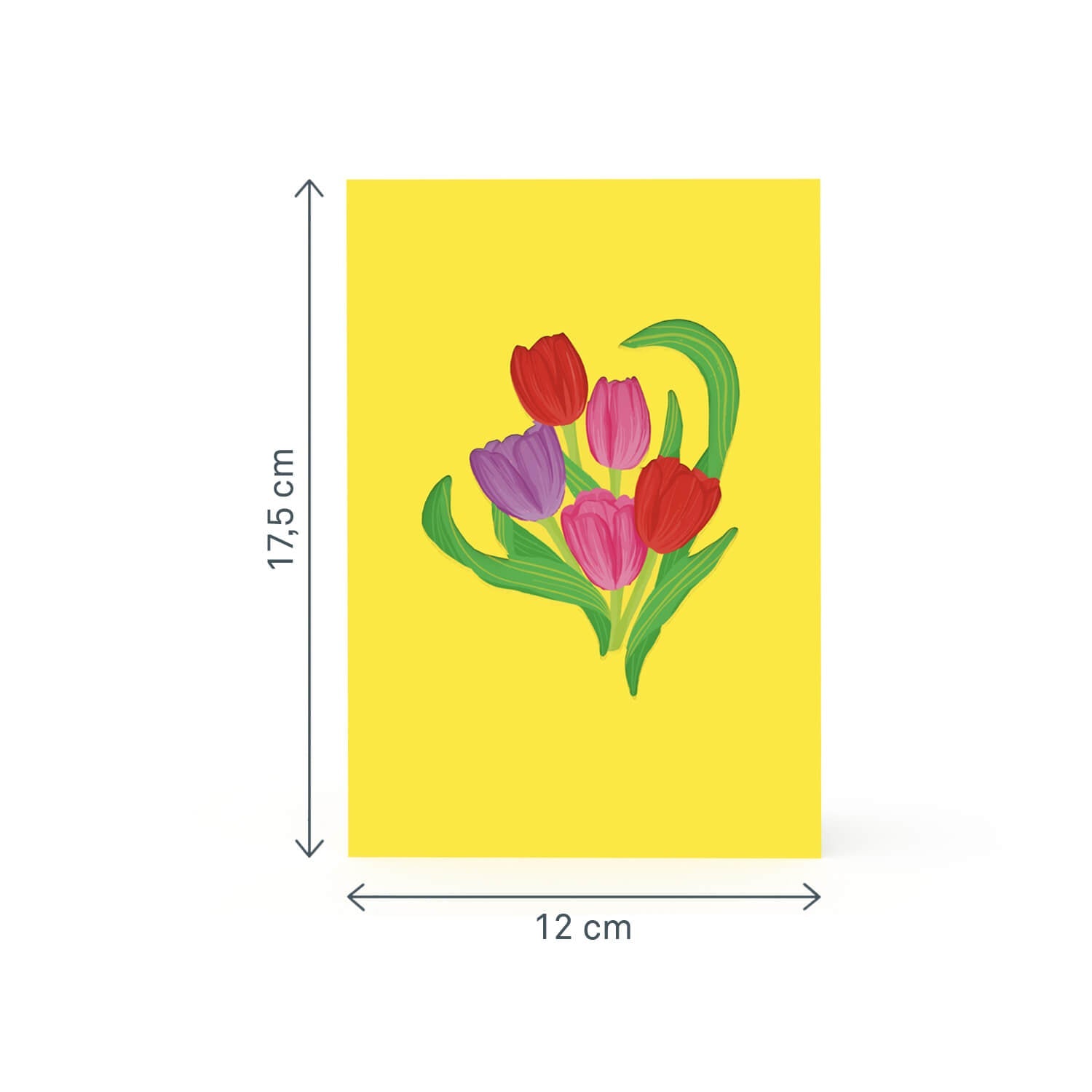 Colorful Tulip Meadow Pop-Up Card