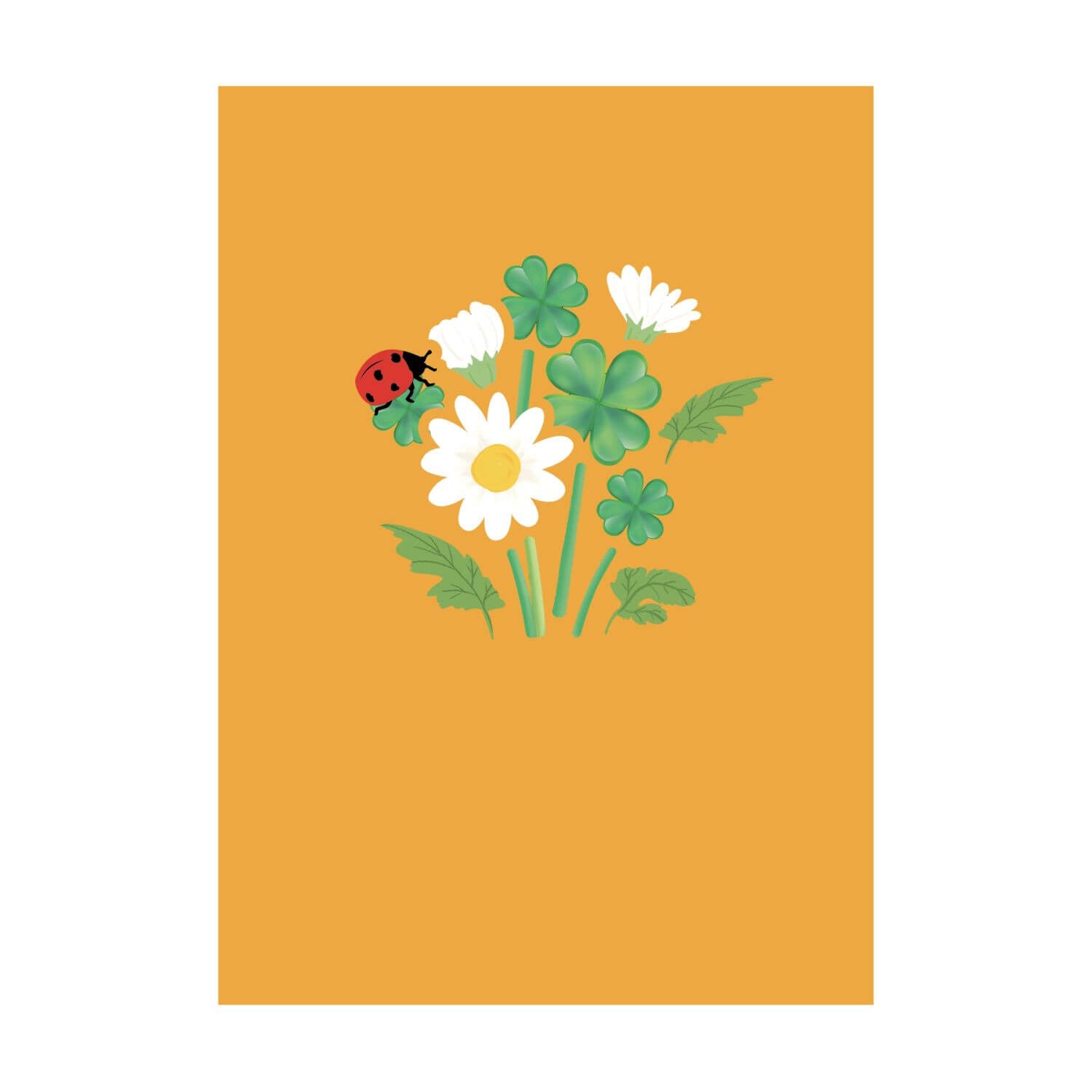 Daisy with Ladybug Pop-Up Card