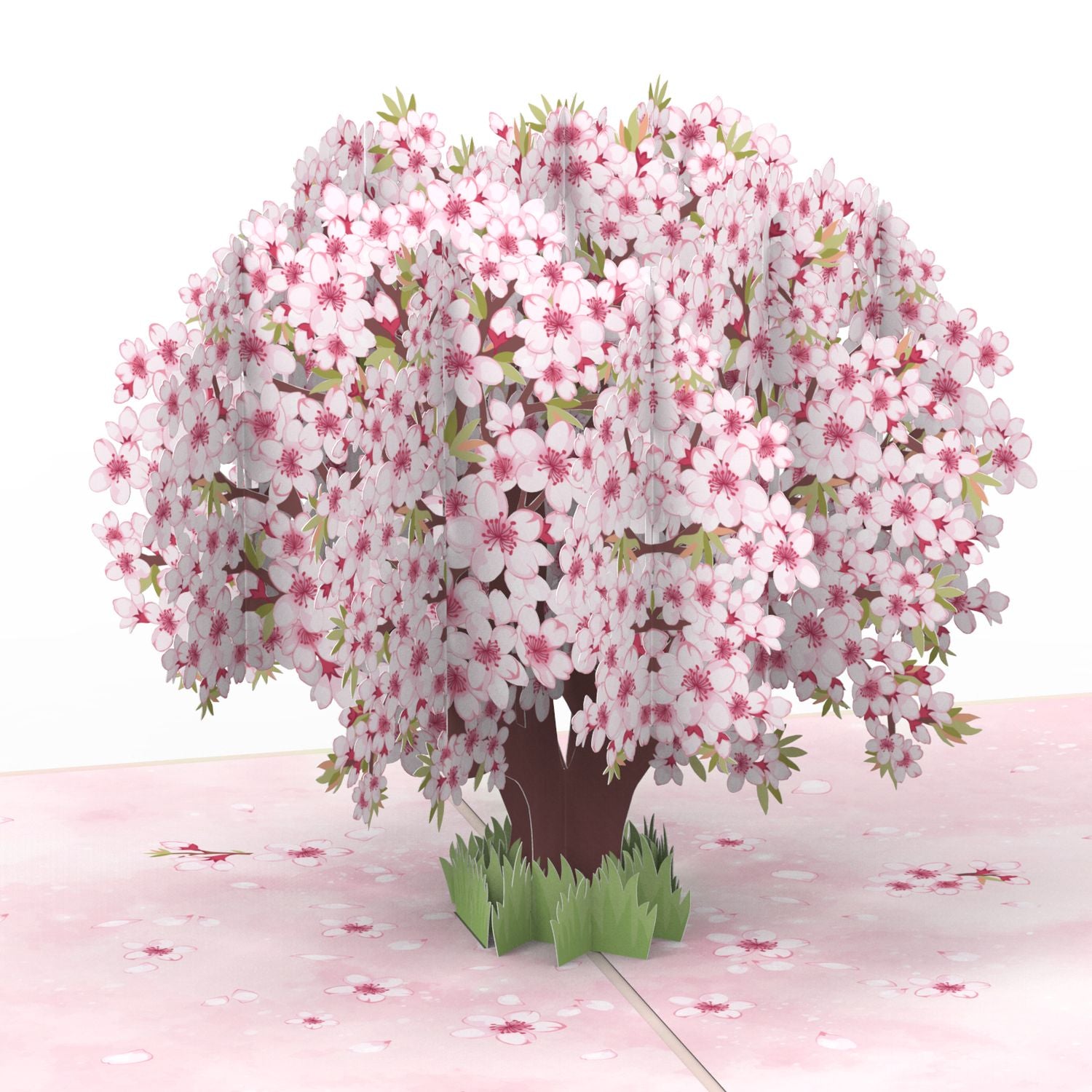 Cherry blossom Pop-Up Card