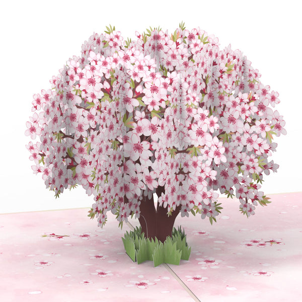 Cherry blossom Pop-Up Card