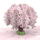 Cherry blossom Pop-Up Card