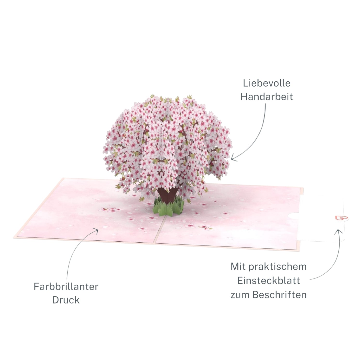 Cherry blossom Pop-Up Card