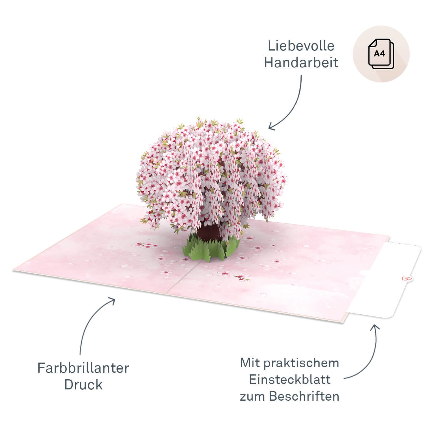 XXL Cherry Blossom Pop-Up Card