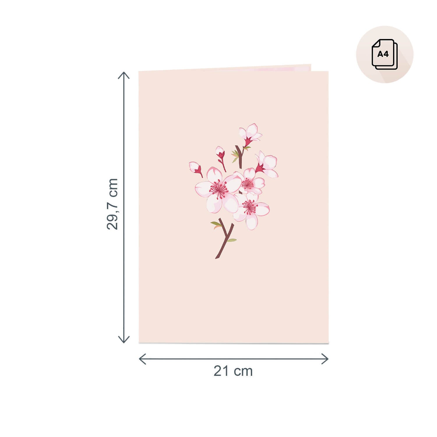 XXL Cherry Blossom Pop-Up Card