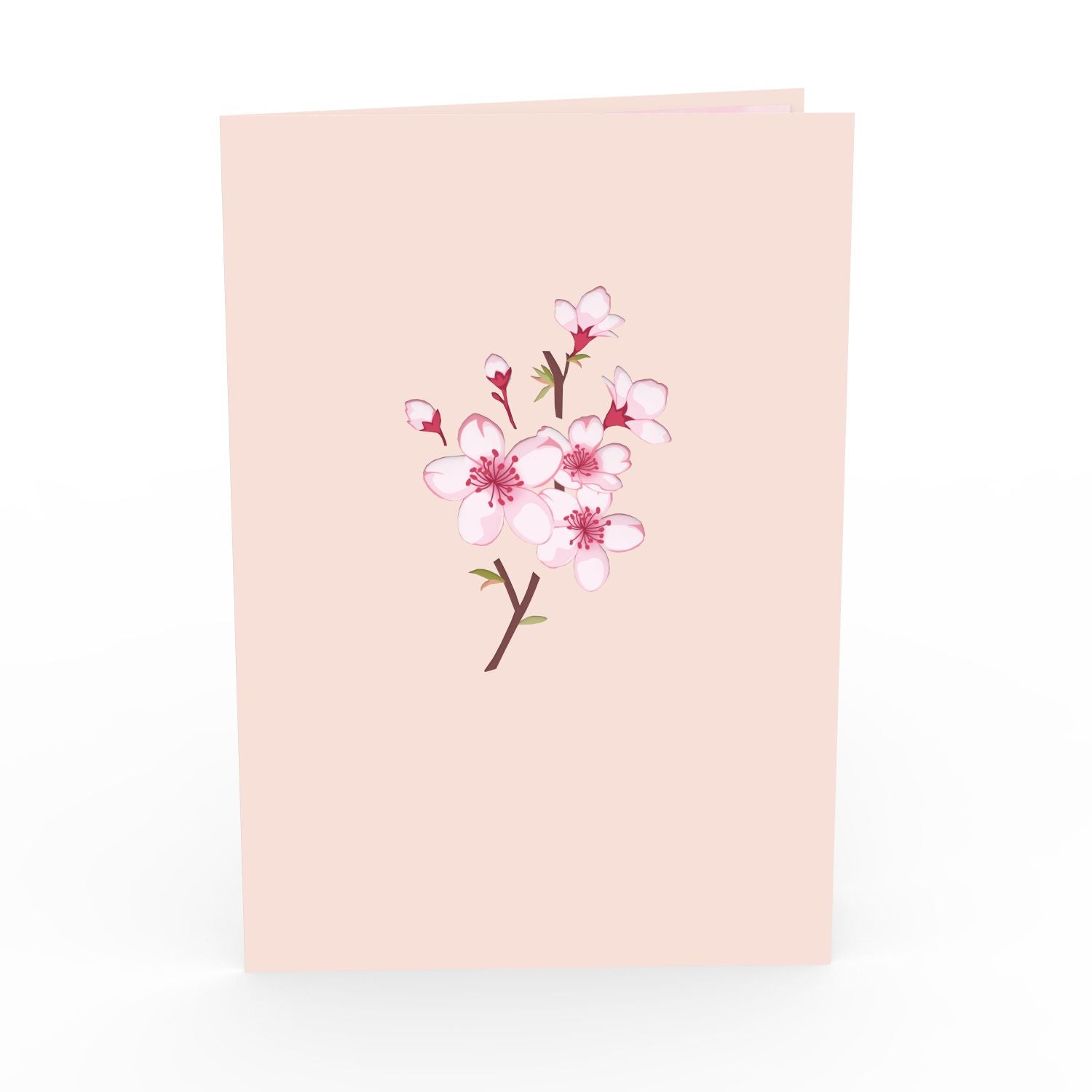 Cherry blossom Pop-Up Card