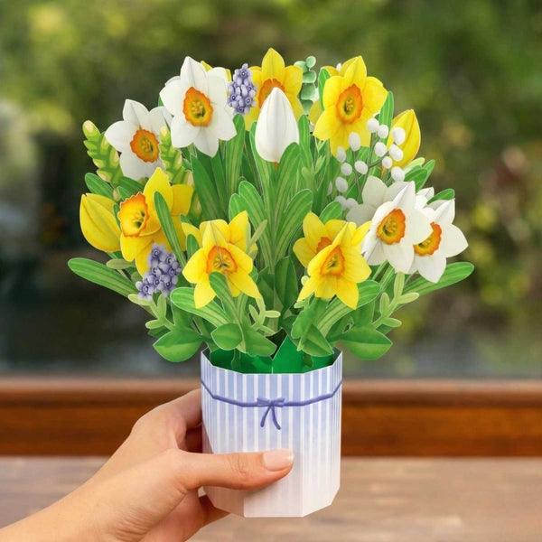 Daffodil Pop-Up Bouquet