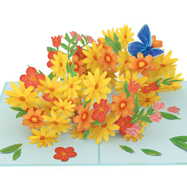 Colorful daisies with butterflies Pop-Up Card