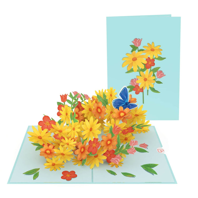 Colorful daisies with butterflies Pop-Up Card