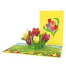 Bunte Tulpenwiese Pop-Up Karte