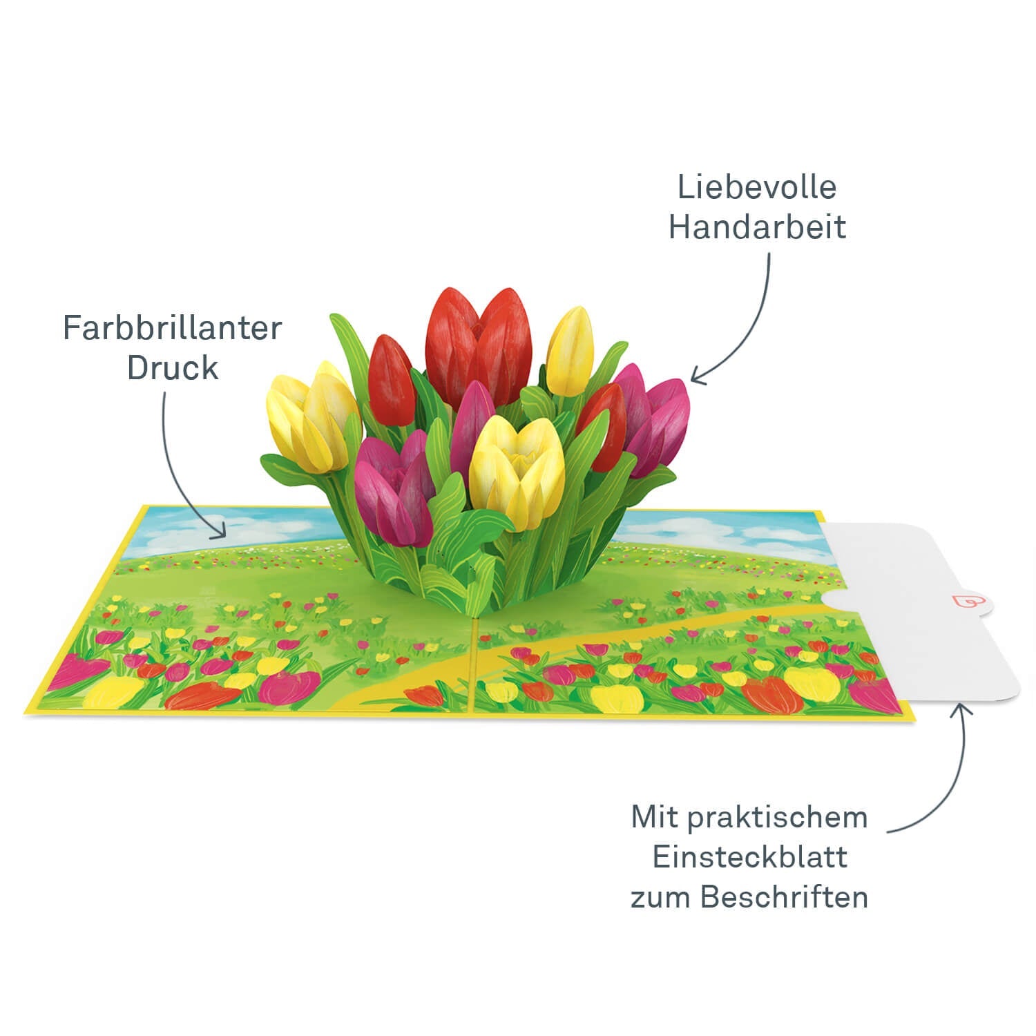 Colorful Tulip Meadow Pop-Up Card