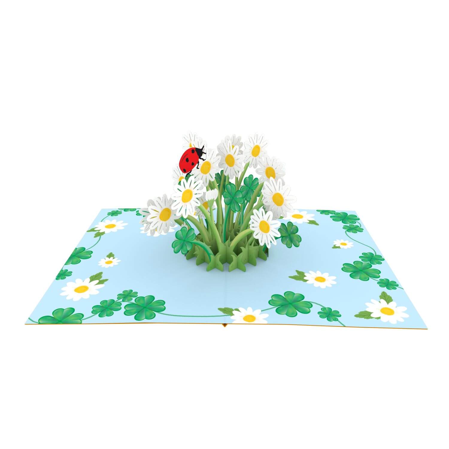 Daisy with Ladybug Pop-Up Card