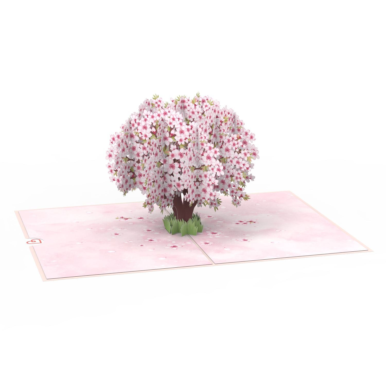Set of 4 Pop-Up Cards "Blossoms & Butterflies"