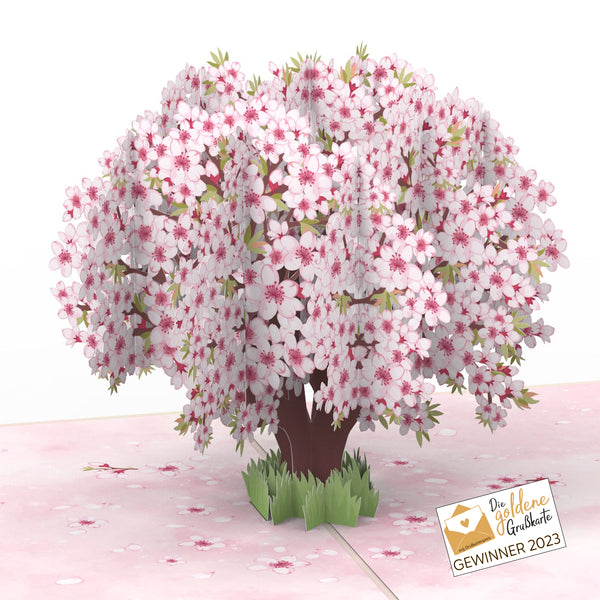 Cherry blossom Pop-Up Card