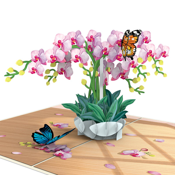 Orchidee mit Schmetterling Pop-Up Karte