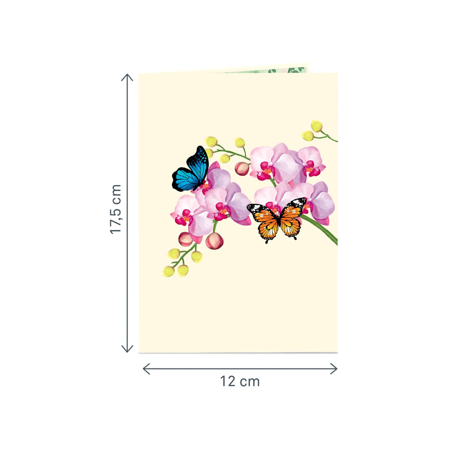 Orchid with Butterfly Pop-Up Card