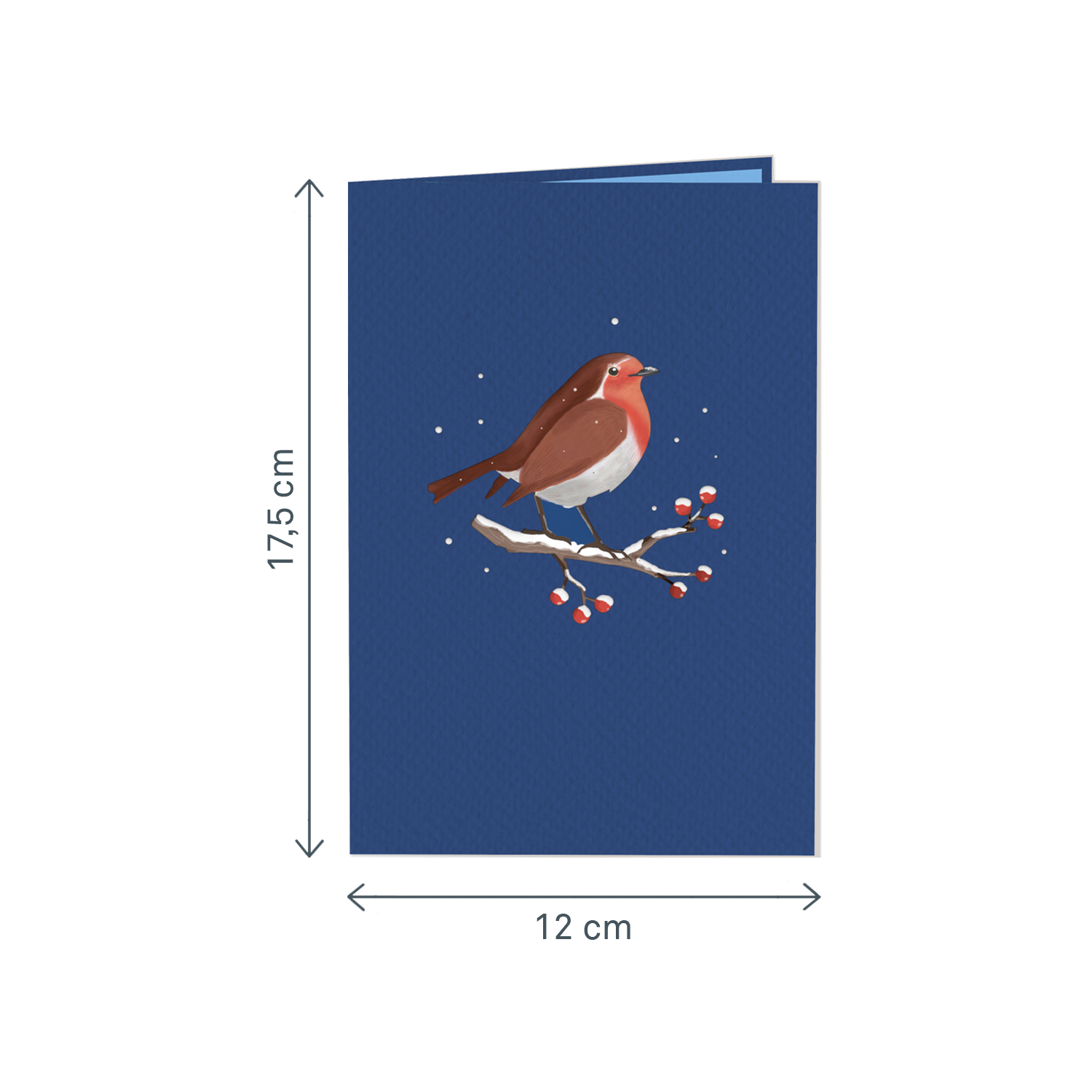 Robins in winter Pop-Up Card