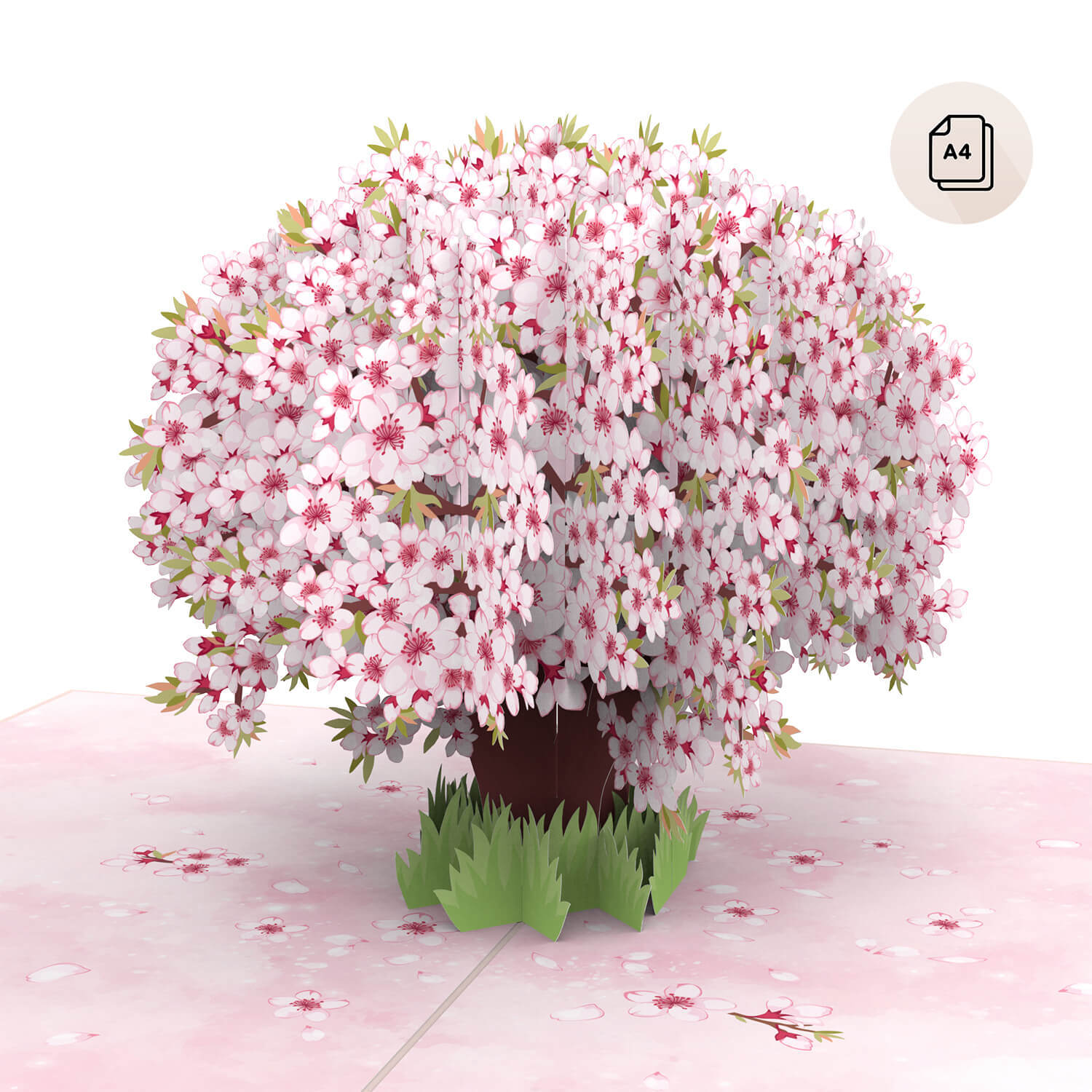 XXL Cherry Blossom Pop-Up Card