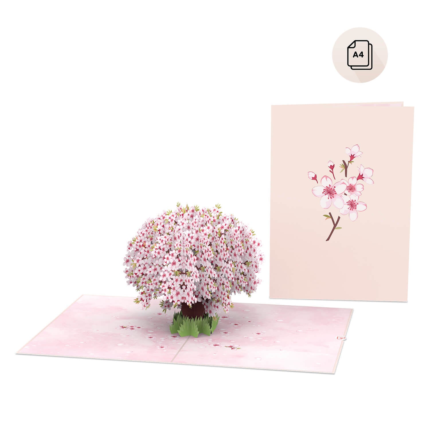 XXL Cherry Blossom Pop-Up Card