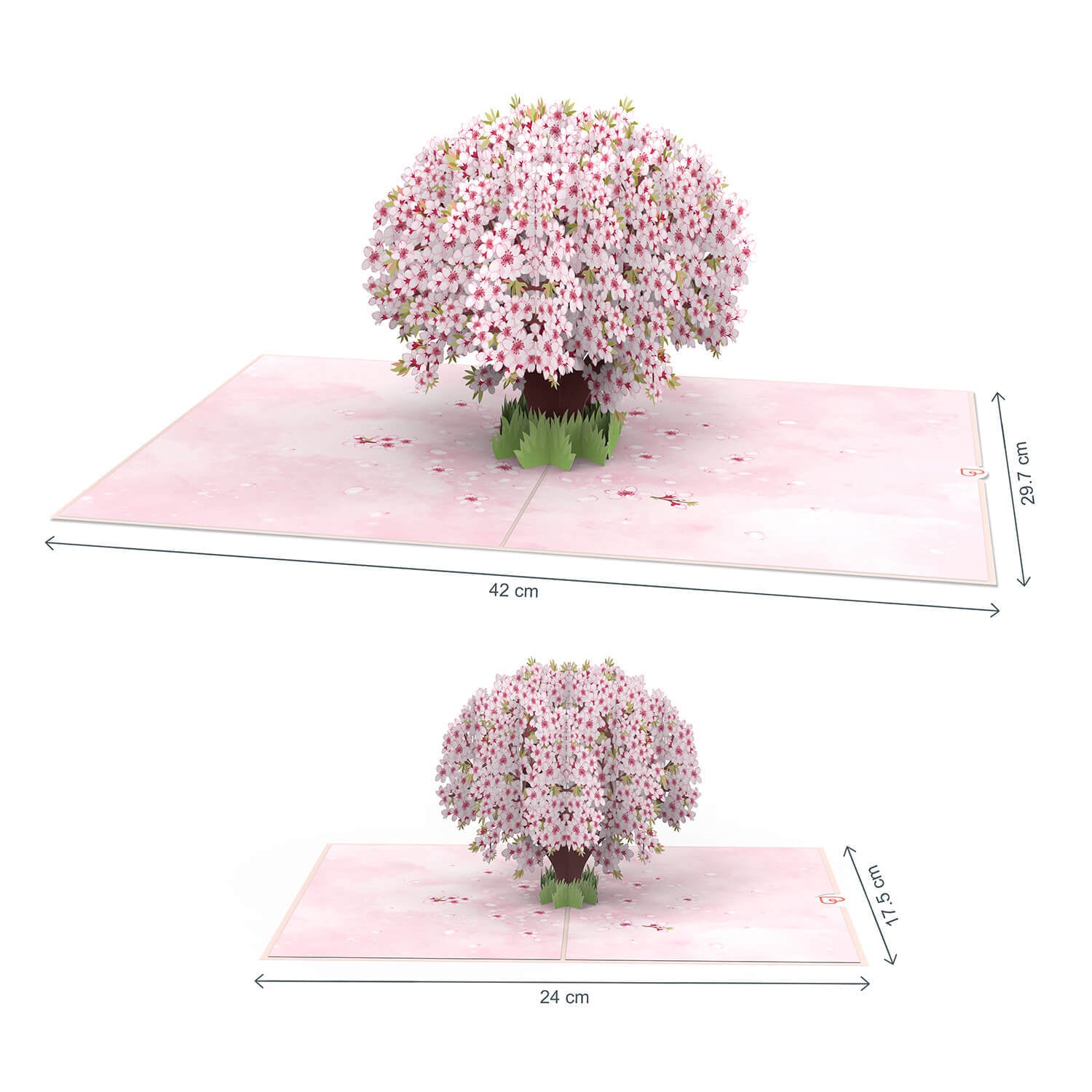 XXL Cherry Blossom Pop-Up Card