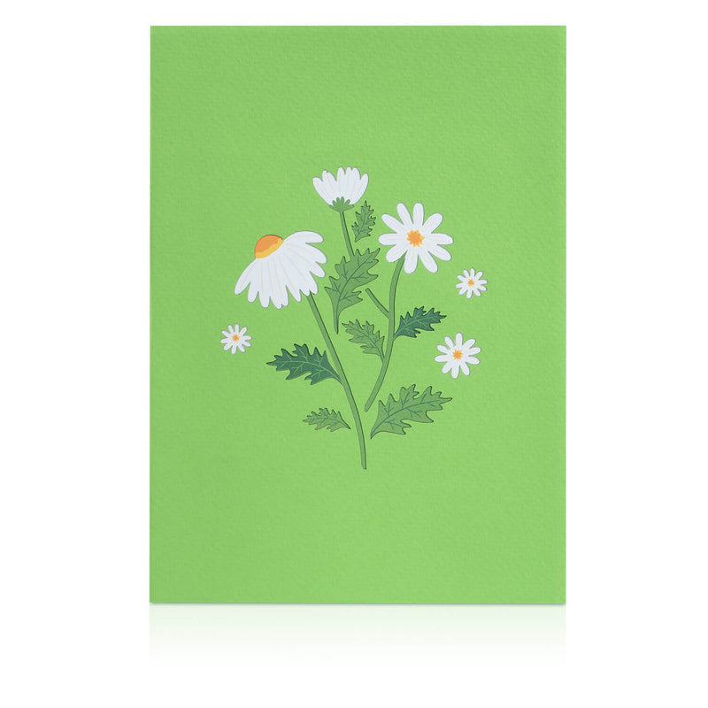 Daisy with butterfly Pop-Up Card