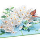 Daisy with butterfly Pop-Up Card