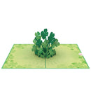 Lucky clover Pop-Up Card