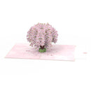 Cherry blossom Pop-Up Card