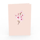 Cherry blossom Pop-Up Card