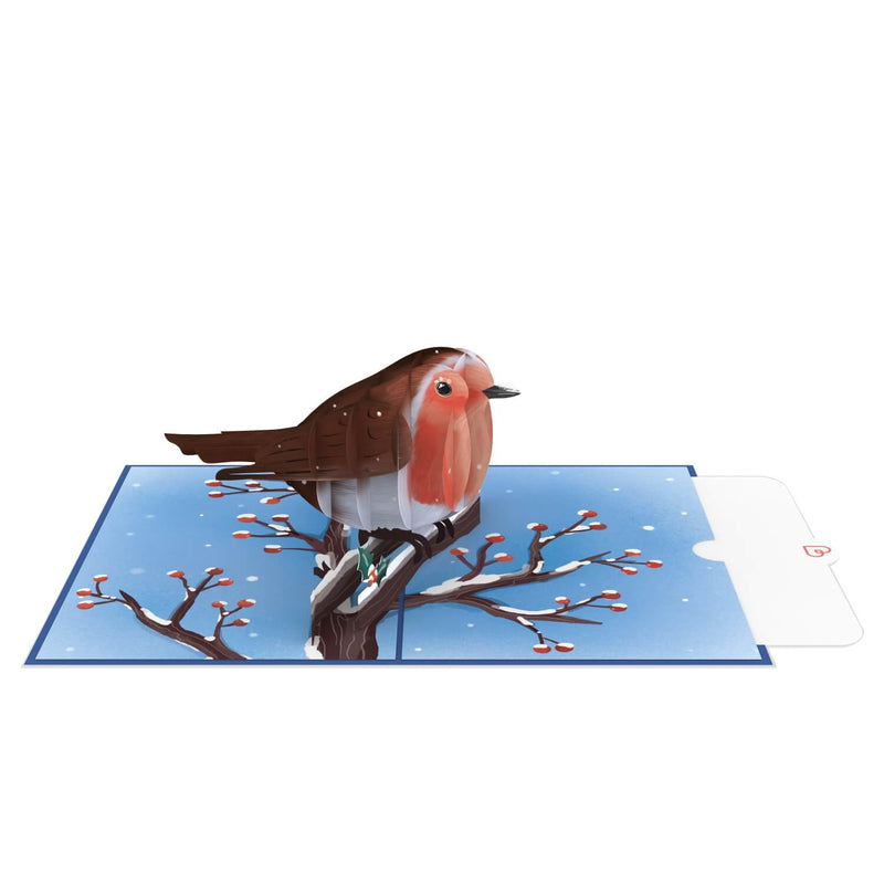 Robins in winter Pop-Up Card