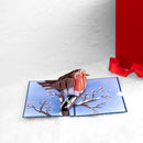 Robins in winter Pop-Up Card