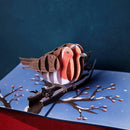 Robins in winter Pop-Up Card